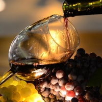 ¿Qué son los taninos del vino?